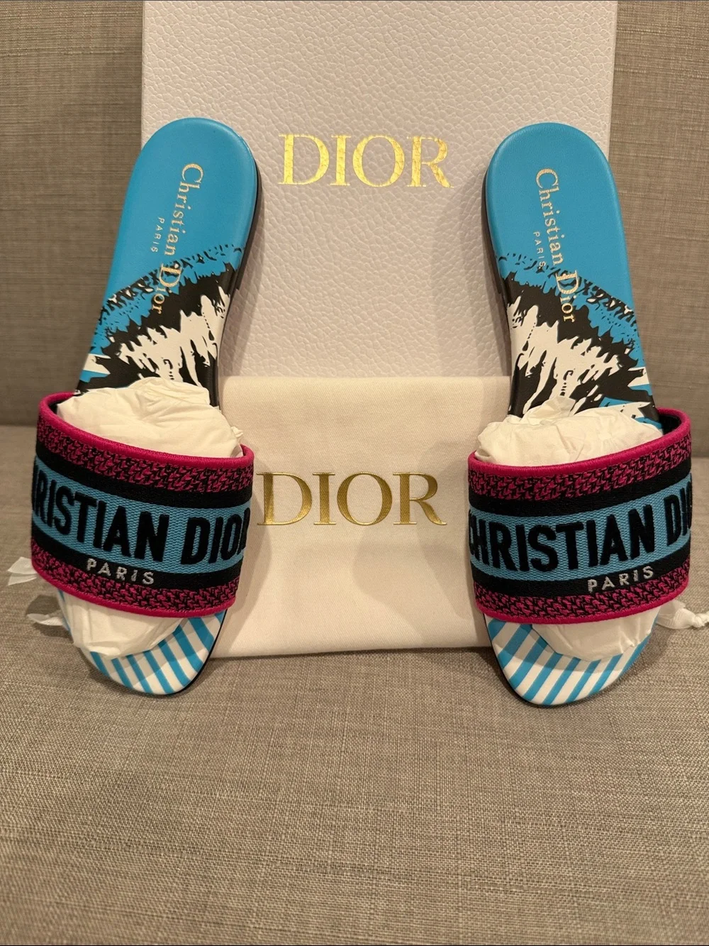 Dior Blue & Pink Logo Slide Sandals